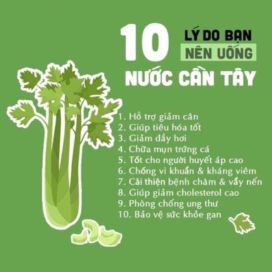 Bột cần tây sấy lạnh, bột cần tây giảm cân nguyên chất - thanh lọc cơ thể - ảnh sản phẩm 2