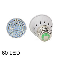 BIESE ?Hot Sale?48/60/80 220V LED Grow Light E27 Lamp Bulb for Plant Hydroponic Full Spectrum