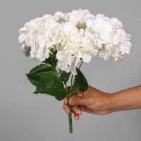 【LZ】▪✔๑  Artificial Hortênsia Flor Ramo Falso Flor Plástico Casa Decoração Do Casamento Sala De Festa Autum Alta Qualidade