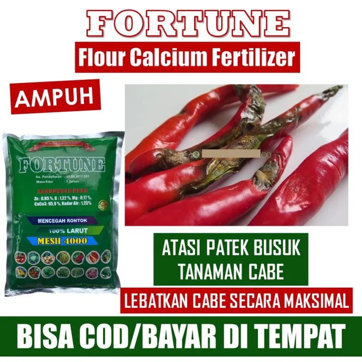 Obat Semprot Hama Patek Cabe Busuk Buah Dan Daun Cabe Fortune Obat