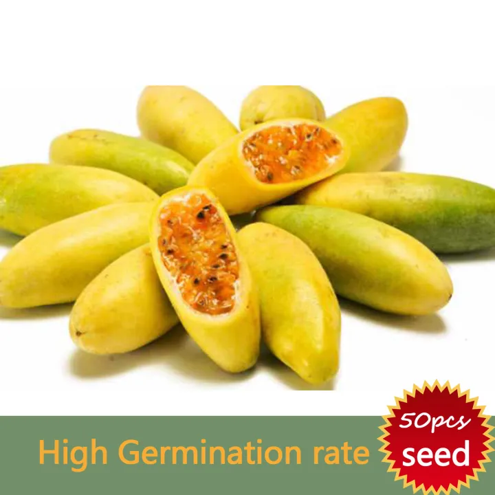 High Yielding Variety Banana Passion fruit Seeds for planting,Fruit