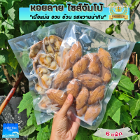 หอยลาย เนื้ออวบ ใหญ่ ส่งฟรี 6แพ็ค