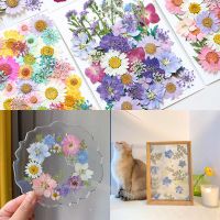 【CC】✔  1Bag Dried Flowers UV Resin Filling Epoxy Mold Pendant Jewelry Pressed Floral