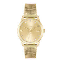 Lacoste Stargaze รุ่น LC2001308 นาฬิกาข้อมือผู้หญิง สายสแตนเลส All Gold