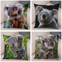 【CW】✖▥  Pillowcase Koala Cushion Cover Prints Multisize Pillows