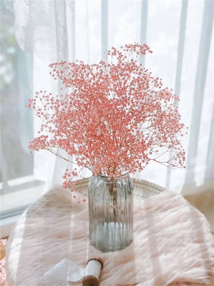 cw】 Dried Baby Breath Plant Bouquet for Wedding Party Marry Decor Boho Decoration | Lazada Singapore Cw】 Dried Baby Breath Plant Bouquet For Wedding Party Marry Decor Boho Decoration | Lazada Singapore
