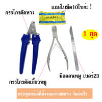 1ชุด กรรไกรตัดหางหมู กรรไกรตัดเขี้ยวหมู มีดตอนหมู เบอร์23 ครบชุดพร้อมใช้งานอย่างสะดวก จัดส่งเร็ว