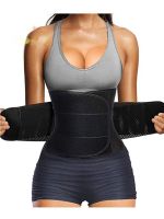 【LZ】 Mulheres Waist Trainer Cinto Controle de Barriga Cincher Aparador Sauna Suor Treino Cinto Magro Barriga Banda Esporte 1 Peça