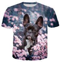 New French Bulldog 3d Printing Mens Womens Childrens T-shirt Harajuku Street Style Breathable Lightweight Summer Sports Top