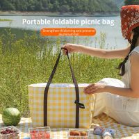 Large Capacity Picnic Bag Outdoor Camping Insulated Lunch Box Thickened Aluminum Foil Fresh-keeping Lunch Bag Portable Bento Bag