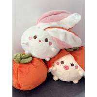 Plush Rabbit Fruit Shapeshifting Toy Stuffed Action Dolls Pig Pillow Throw