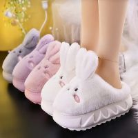 [Take a walk} Weiเข้ารหัส Kaninchen Hare Hausschuhe Frauen Nette Tier Plattform Hause Maultiere Schuhe Mädchen Schlafzimmer Plüsch Rutschen Pantoffel Ohren Schuhe Indoor