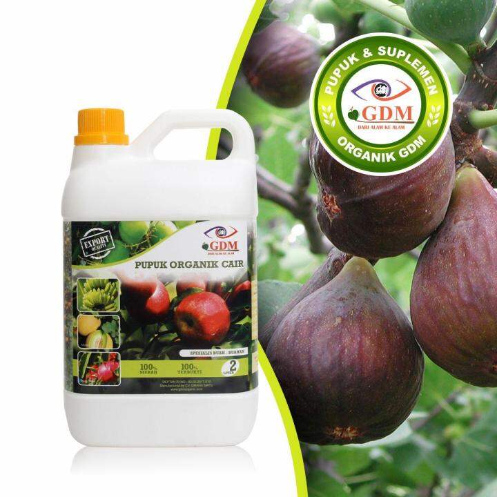Best organic fertilizer for fruit tin 2liter Lazada