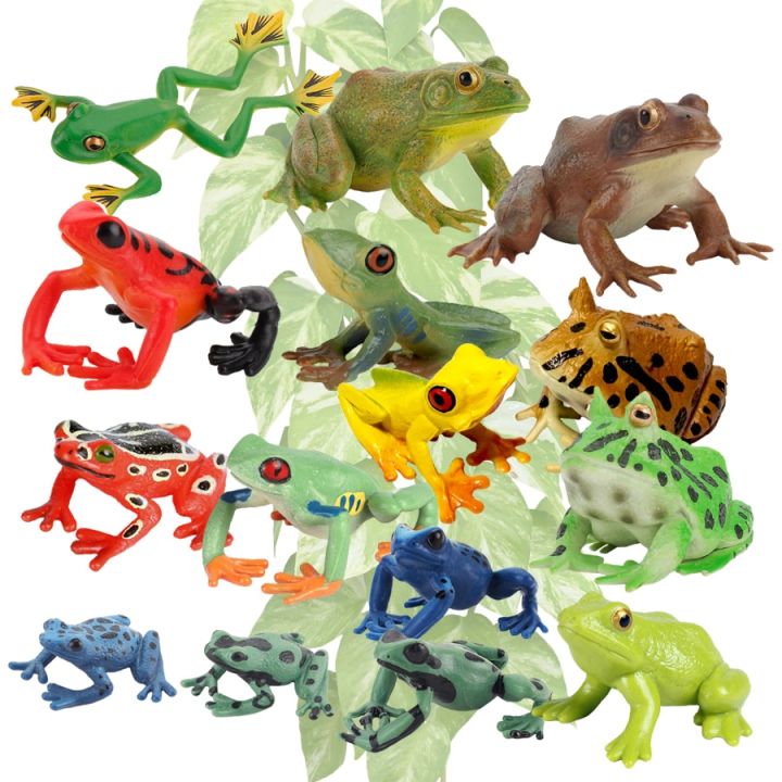 zzooi-realistic-wild-amphibian-action-figures-treefrog-bullfrog-toadfrog-plastic-frog-model-toy-cognitive-ornament-toys-gift-for-kids