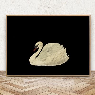 ✖✌✟ สีดำสีขาวโบราณ Swan สีน้ำภาพวาดผ้าใบโปสเตอร์และพิมพ์ Minimalist Vintage Wall Art รูปภาพสำหรับตกแต่งห้องนั่งเล่น