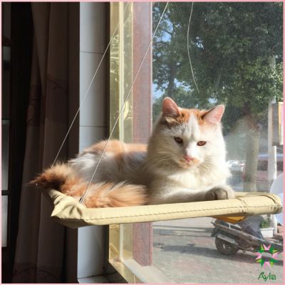 Ayla เปลแมว เปลแมวติดกระจก ขนาดใหญ่ 55x35ซม. รับน้ำหนักได้ถึง 15 kg ที่นอนแมว บ้านแมว ของเล่นแมว Cat Windows Bed Siter