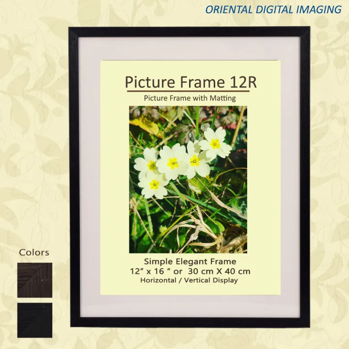 PICTURE FRAME 12inches X 16 Inches Or 30 Cm X 40 Cm Lazada PH