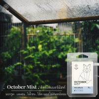 Soy Wax Melts กลิ่น October Mist เย็น สดชื่น สงบ | อวล ก้อนเทียนหอมชนิดละลายบนเตาน้ำหอม ขนาด 75 กรัม