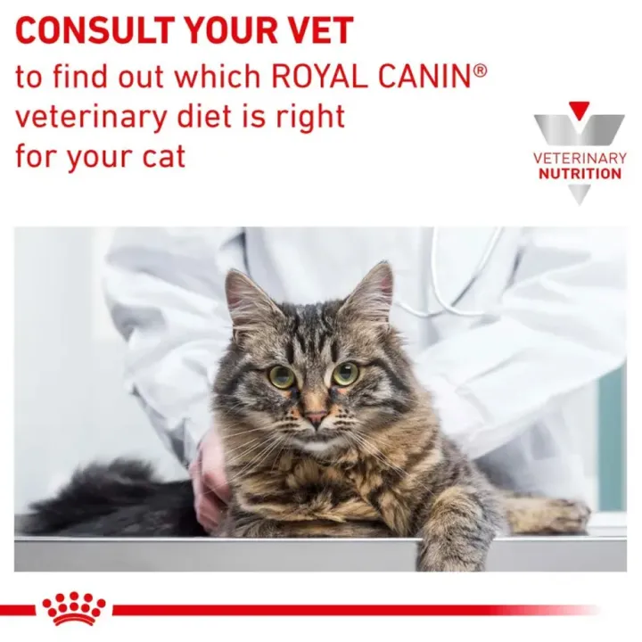 หมดอายุ10-24-royal-canin-vet-hepatic-cat-อาหารแมวโรคตับ-2-kg