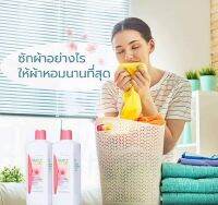 Liquid Softener  ผลิตภัณฑ์ปรับผ้านุ่มสูตรเข้มข้น