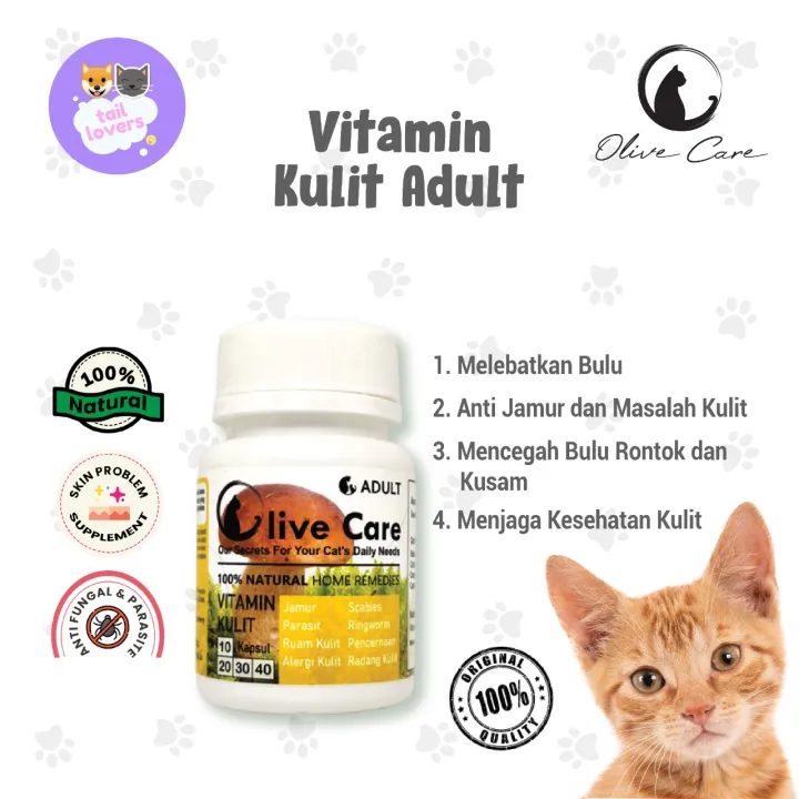 Vitamin Kucing Dewasa Kulit Jamur Adult Cat Olive Care Parasit Scabies Ringworm Rontok | Lazada Indonesia
