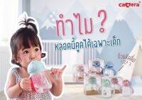 แก้วหัดดื่มหลอดเด้ง Baby Training Cup step 3 จาก Camera Baby สำหรับเด็ก 6 เดือนขึ้นไป