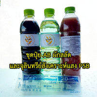 ชุดปุ๋ย AB ผักสลัด ไฮโดโปนิกส์ พร้อมจุลินทรีย์ ขนาด 600 ml. สุดคุ้ม