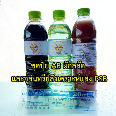 ชุดปุ๋ย AB ผักสลัด ไฮโดโปนิกส์ พร้อมจุลินทรีย์ ขนาด 600 ml. สุดคุ้ม