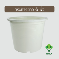 PAULAs กระถางขาวครีม 6 นิ้ว กระถางต้นไม้พลาสติก สีขาว สีขาวครีม สามารถใช้เป็น กระถางแขวน