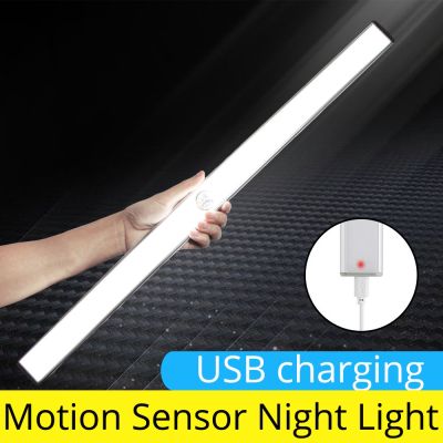 20/40/60cm night light USB Motion Sensor Closet Light Kitchen Bedroom Lighting Wall Lamp With Magnetic Strip led Cabinet Lights