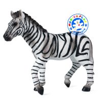 Munich Play - โมเดลสัตว์ Zebra ม้าลาย ขนาด 13.00 CM (จากหาดใหญ่)