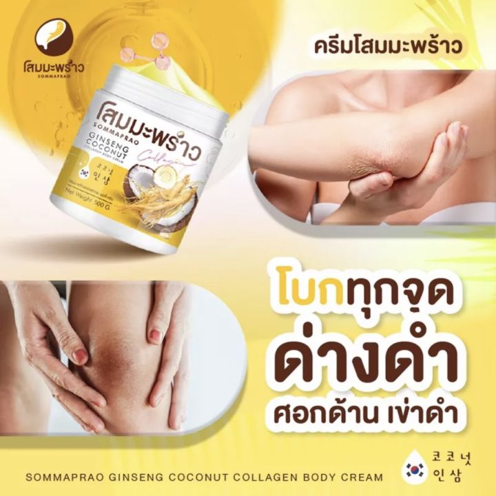 โสมมะพร้าว-โสมแม่แพท-coconut-ginseng-แท้ราคาส่ง