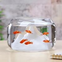 CCWonder Fish Rockery Bowl กระจกใสพิพิธภัณฑ์สัตว์น้ำถัง Betta ขนาดเล็กสำหรับตกแต่งเดสก์ท็อป