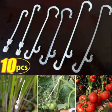 EG【Ready Stock】1.5*500cm Nylon Plant Bandage Ultrathin Velcro Tie Plant  clip plant belt garden tool cheap price Free Ship