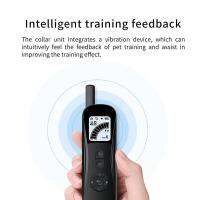 ZZOOI Dog Pet  Training Collar Waterproof Rechargeable Remote Home