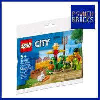 Psynch Bricks - LEGO 30590 City Farm Garden and Scarecrow