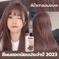 【ซื้อ 2 แถม 1】สีผมยอดนิยมประจำปี 2023  ครีมย้อมสีผม สีย้อมผมแฟชั่น สูตรอ่อนโยน ออแกนิค ผมไม่เสีย กลิ่นหอมติดผม ครีมย้อมผมสีน้ำตาลชมพ