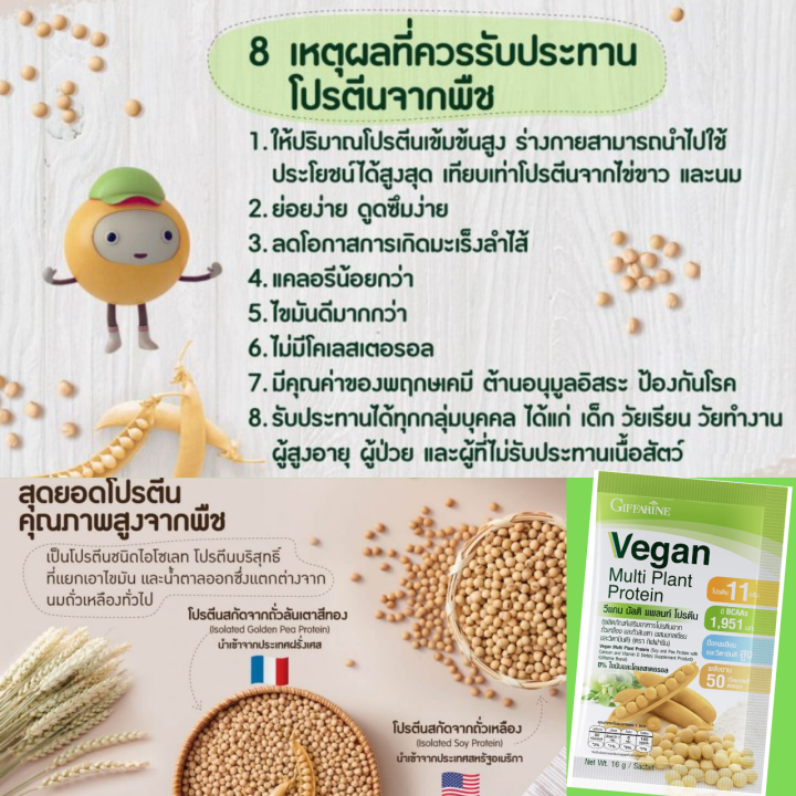 วีแกน-กิฟฟารีน-ของแท้-โปรตีนจากพืช-giffarine-vegan-plant-protein-powder-โปรตีนลดไขมัน-เจ-โปรตีนซอง-โปรตีนกีฟฟารีน-โปรตีนลดนำหนัก