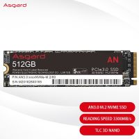 Asgard M.2โซลิดสเตทไดรฟ์ SSD NVME AN2 500GB โซลิดสเตทไดรฟ์2280ฮาร์ดไดรฟ์ Hdd ภายในสำหรับคอมพิวเตอร์แล็ปท็อป Igdxch