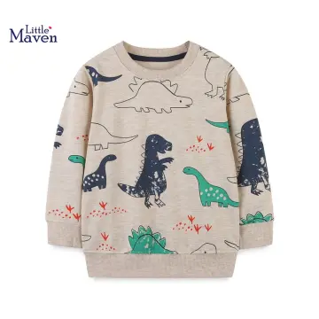 Childrens clearance dinosaur sweatshirt