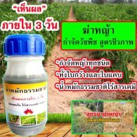 ?สินค้าขายดี? ฆ่าหญ้าอินทรี สูตรชีวภาพ 250 ml. สารกำจัดหญ้า ไร้สารเคมี ชีวภาพ ปลอดภัย ต่อคน เห็นผลใน3วัน ฆ่าย่า ฆ่าหญ้าเผาไม