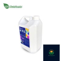 WT Nutrients - Ph Up 5L