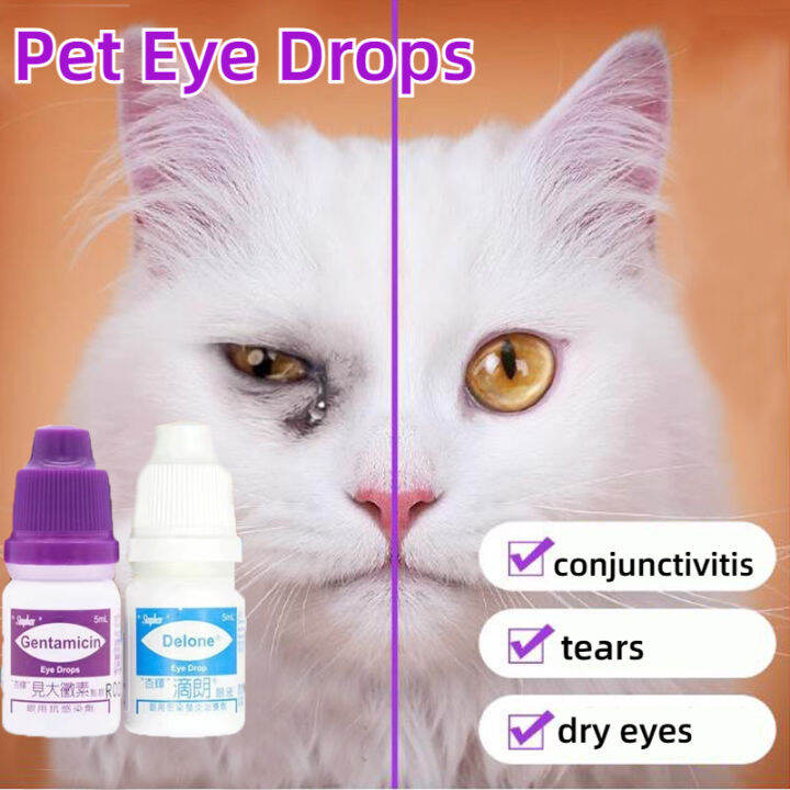 5ml Eye Drops For Pets Cat and Dogs Eye Infection Eye Drops for Pets