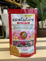 100g ออสโมโค้ท สูตร 13-13-13 (สูตรบำรุงต้น)   จำนวน 1 ชิ้น  ขนาด 100 กรัม Osmocote