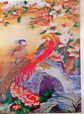 ภาพ5มิติ  นกขู่ยิ่ง สายพันธ์ูคล้ายนกยูง เป็นนกเรียกทรัพย์ของชาวจีน มีไว้ประดับบ้านพื่อเพิ่มโชคลาภ วาสนา บารมี ทำให้ดวงดีขึ้น
