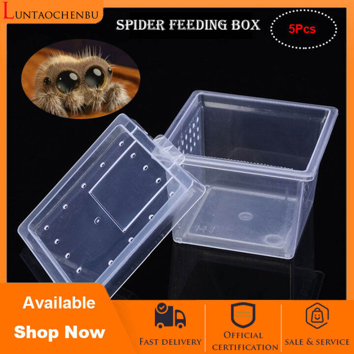 Reptile Breeding Box Set Portable Gecko Feeding Hatching Container Small Snake Terrarium Habitat Transparent Plastic House For Mini Pet Turtle Tarantula Scorpion Lizard Spider Hideout