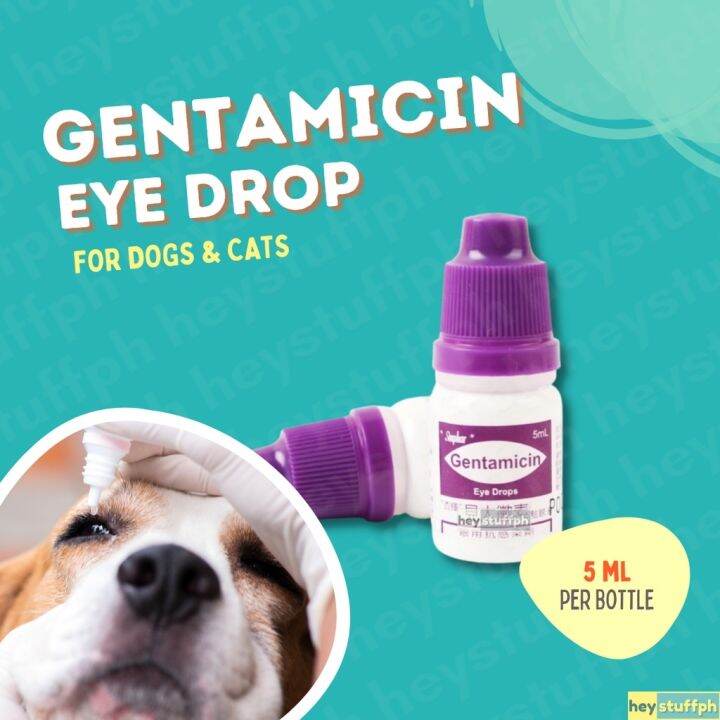 Sinphar Gentamicin Eye Drops for Pets 5ml Lazada PH