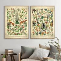 Vintage French Flower Prints: Botanical Retro Wall Art For Living Room Home Decor