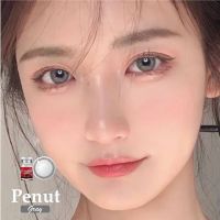 ✨ Penut gray (Lovely lens) ขนาดมินิ Mini ✔️เลนส์จดทะเบียนเป็นเครื่องมือทางแพทย์ ??เลนส์เกาหลีนำเข้าถูกต้อง??