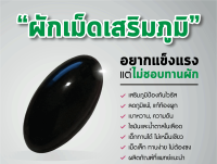 ผักเม็ดนิวไลฟ์ เสริมภูมิ บำรุงสมอง ดวงตา เพียง 1090 บาท (2 กระปุก 60 เม็ด)